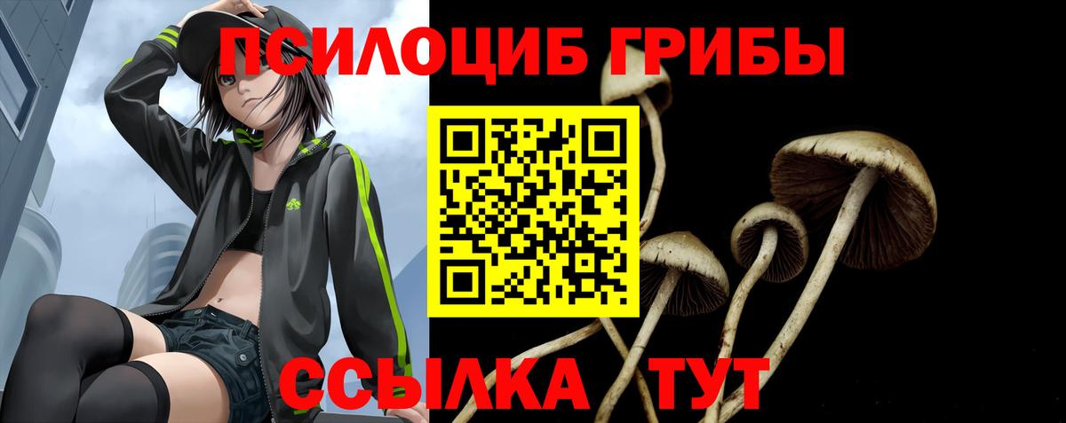 Псилоцибиновые грибы MAGIC MUSHROOMS  Вход с VPN  закладка  Лангепас 