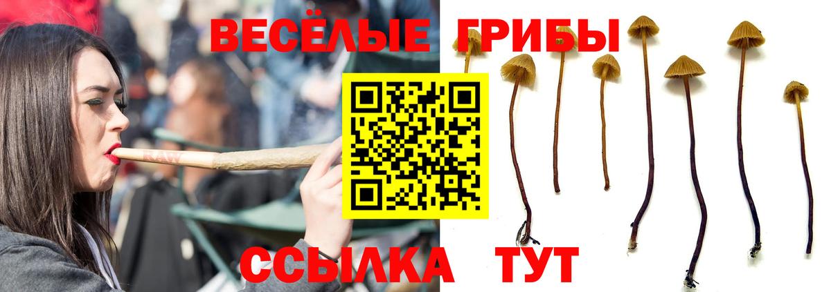 Галлюциногенные грибы MAGIC MUSHROOMS Лангепас